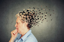 Load image into Gallery viewer, FitBrain - Personal Brain Training
