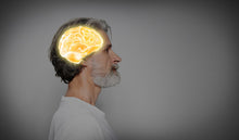 Load image into Gallery viewer, FitBrain - Personal Brain Training
